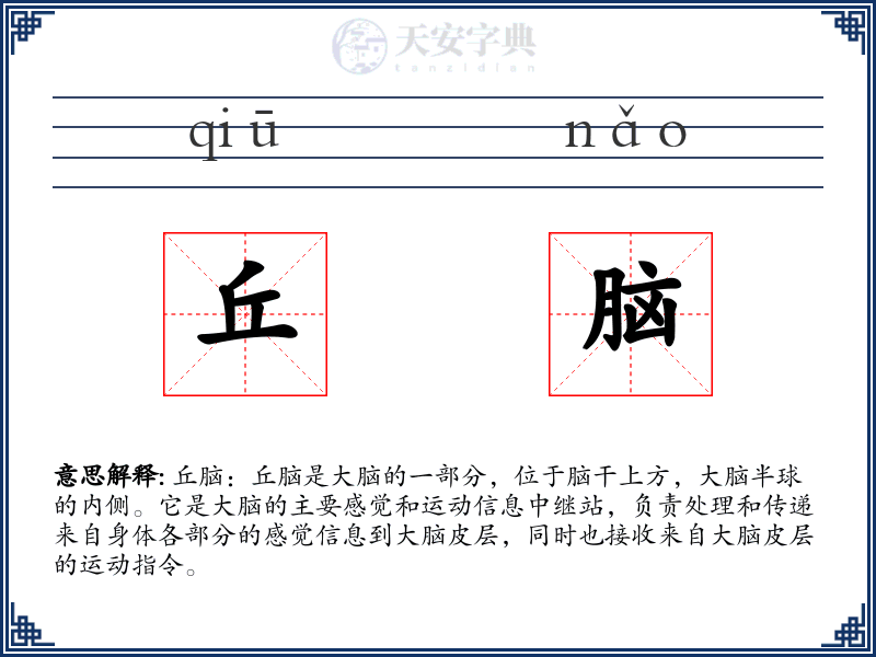 丘脑