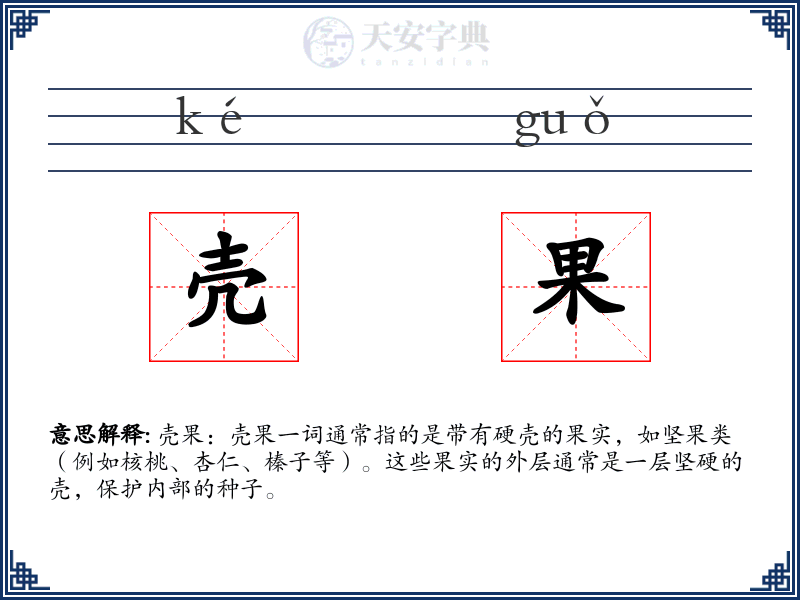 壳果