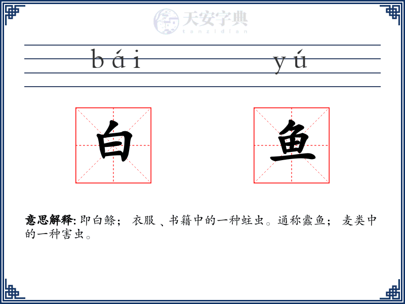 白鱼