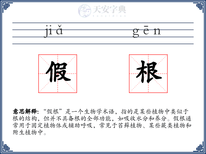 假根