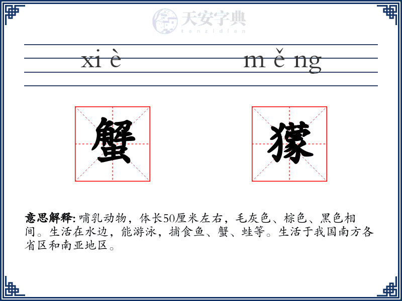 蟹獴