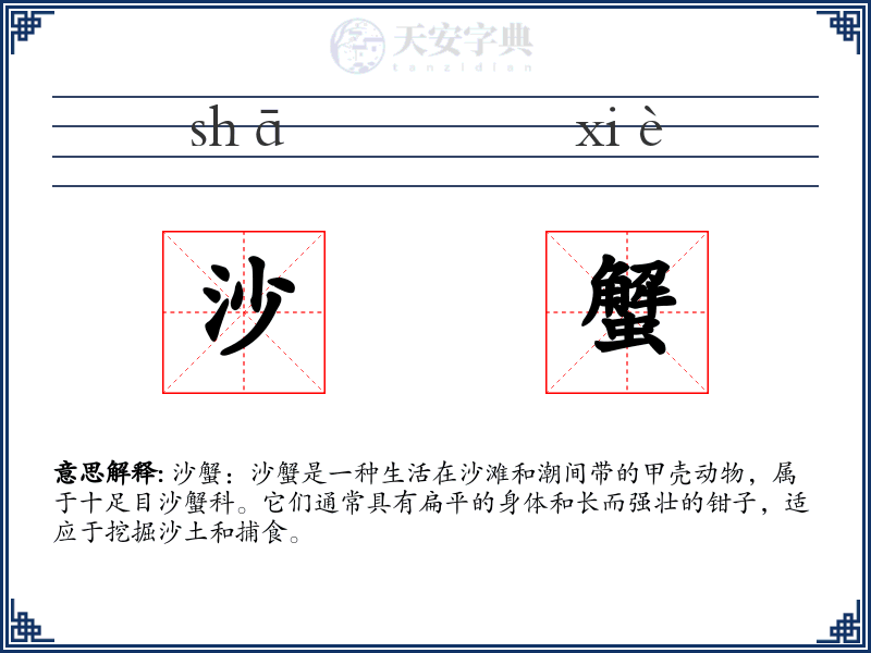 沙蟹