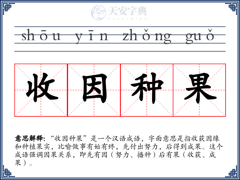 收因种果
