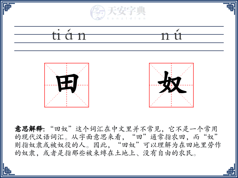 田奴