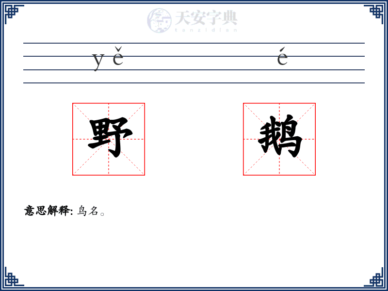野鹅