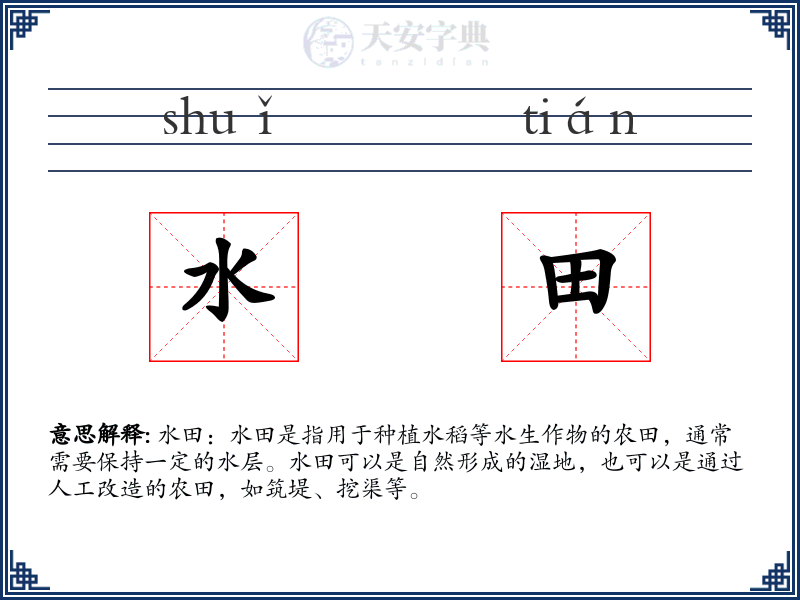 水田