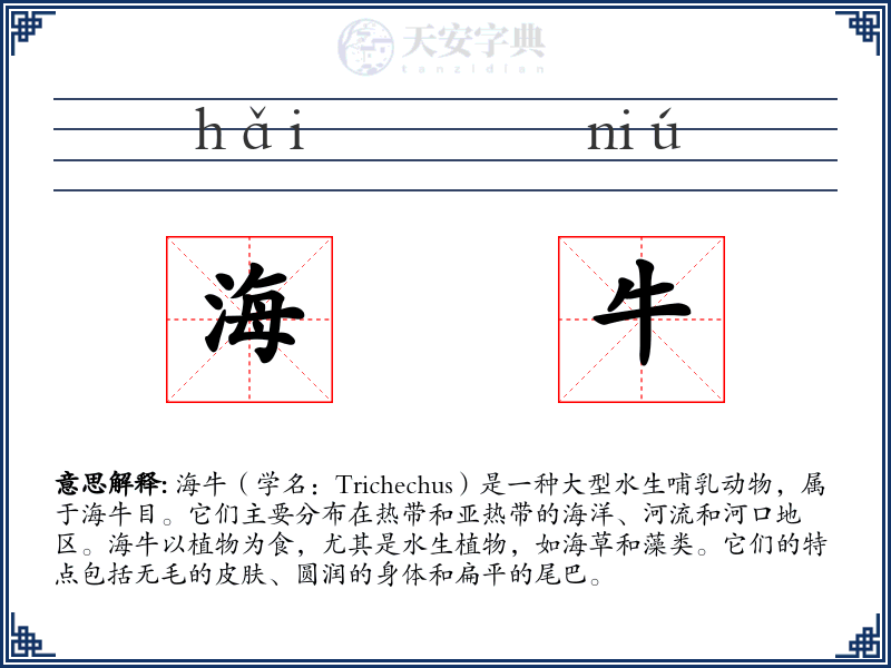 海牛