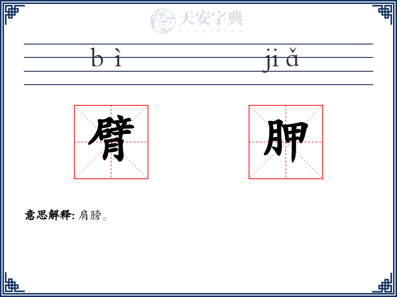 臂胛