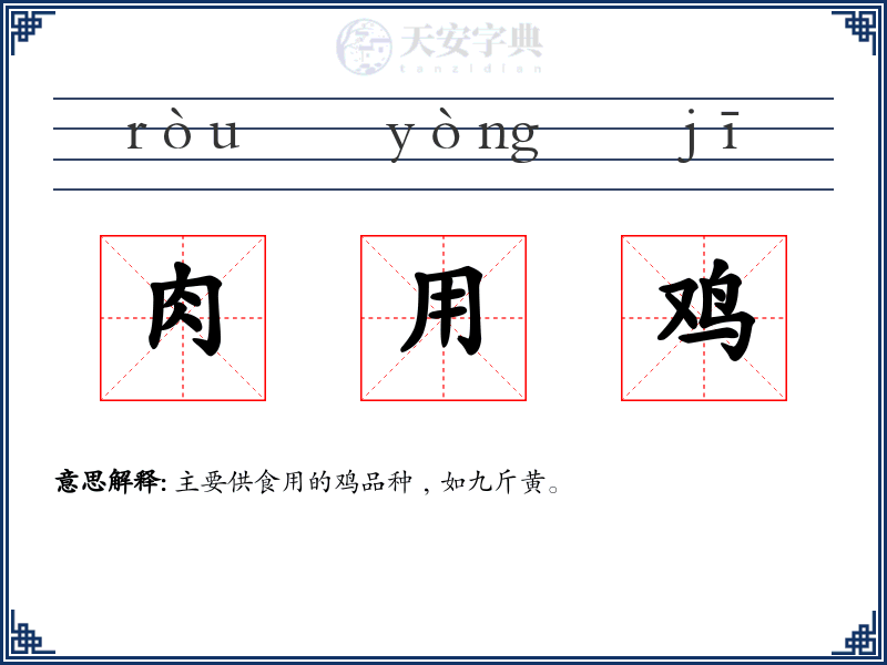 肉用鸡