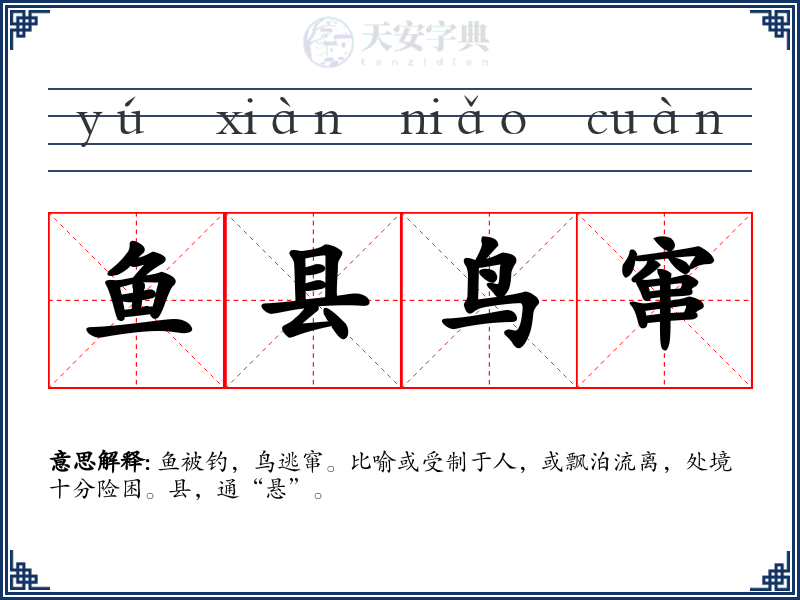 鱼县鸟窜
