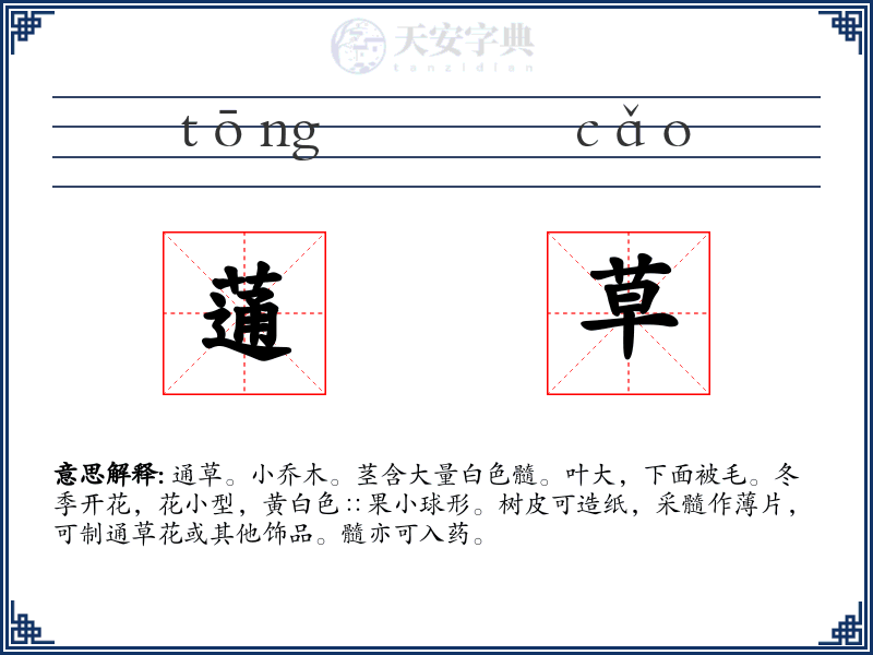 蓪草