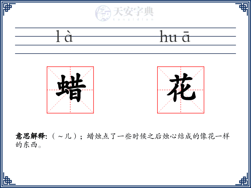 蜡花