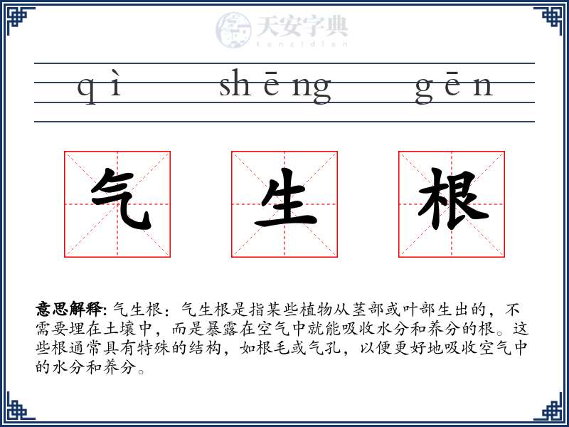 气生根
