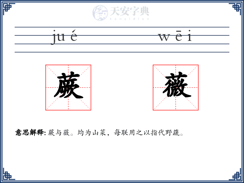 蕨薇