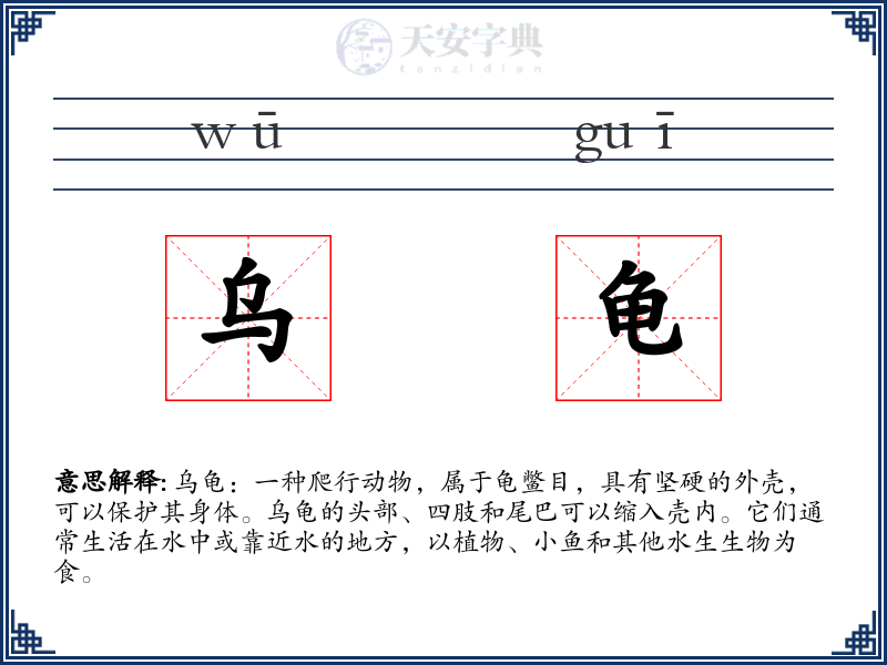 乌龟