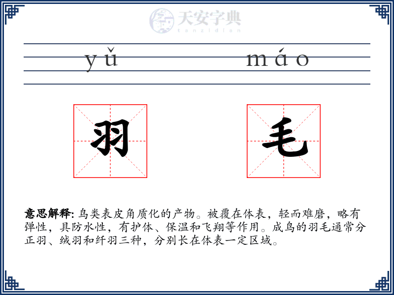 羽毛