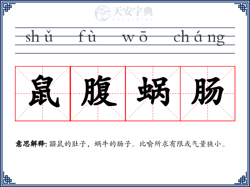 鼠腹蜗肠