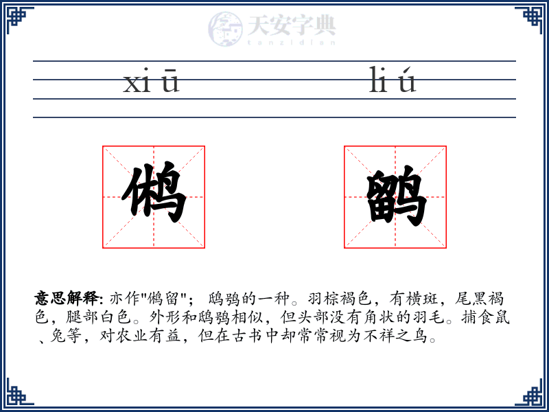 鸺鹠