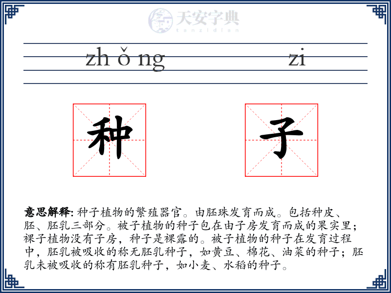种子