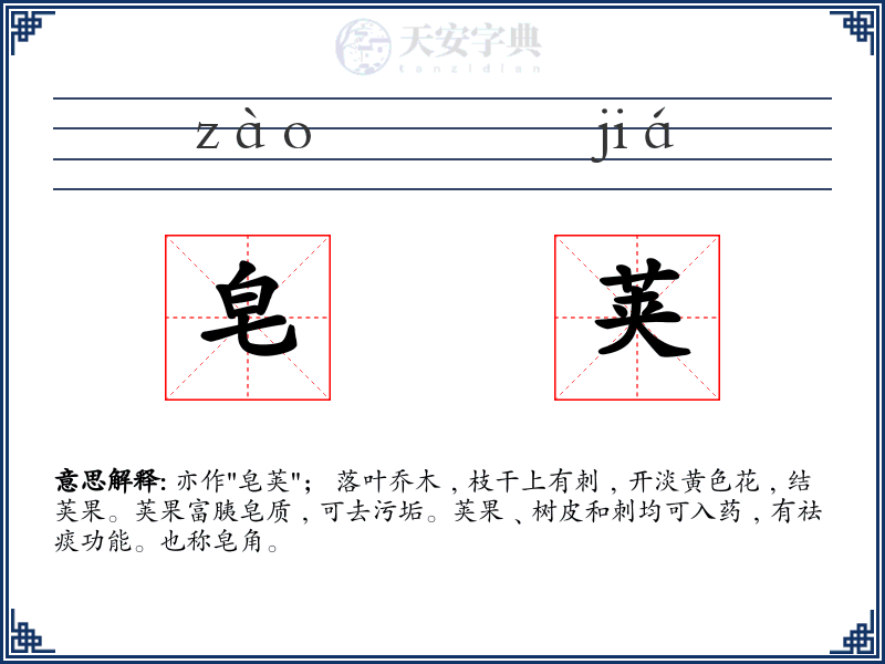 皂荚