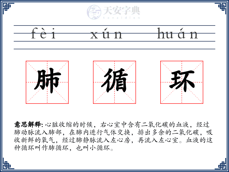 肺循环