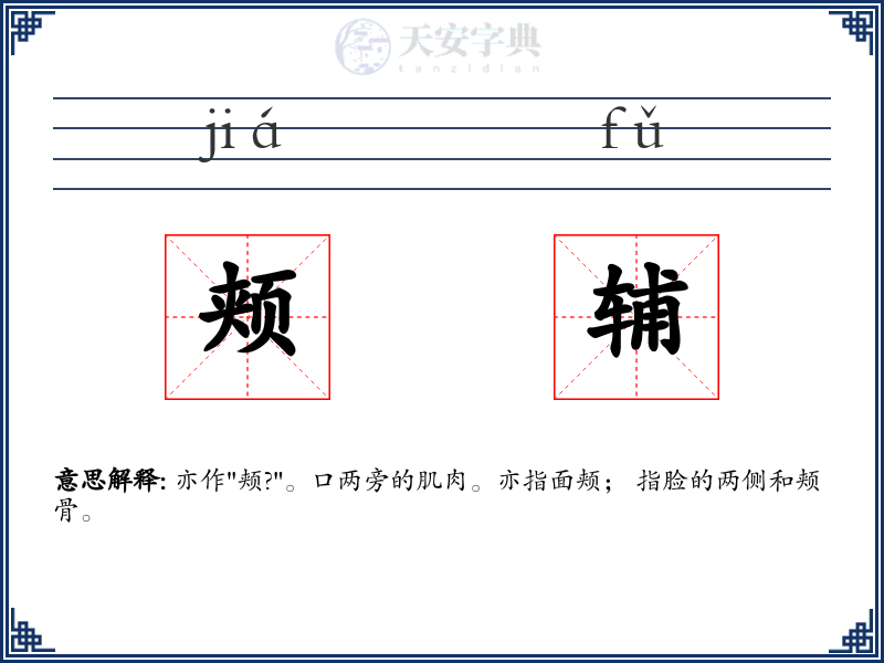 颊辅