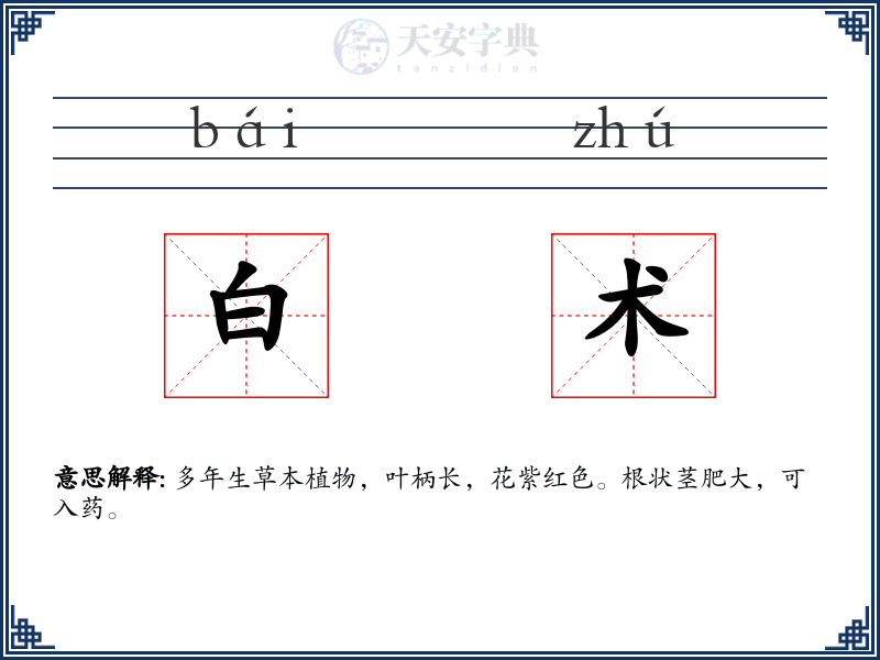 白术