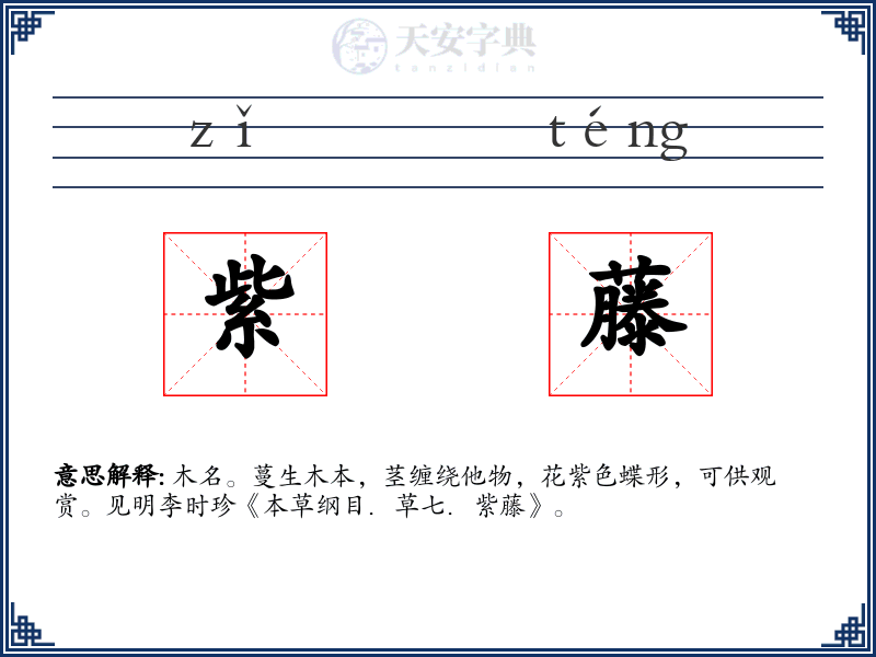 紫藤