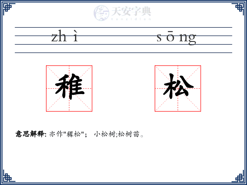 稚松