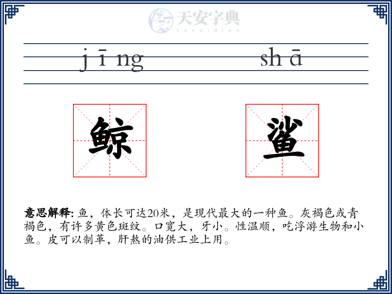 鲸鲨