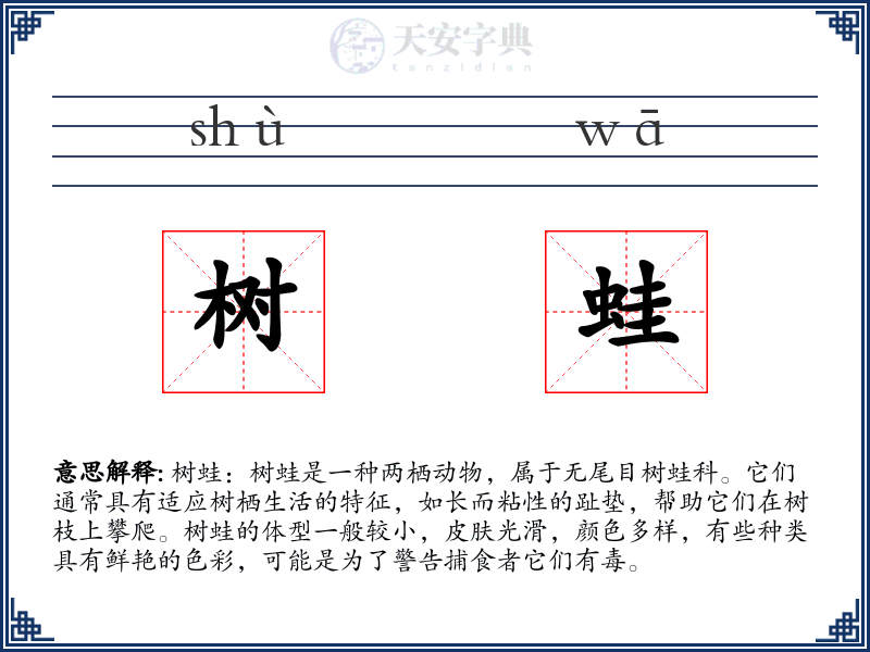 树蛙