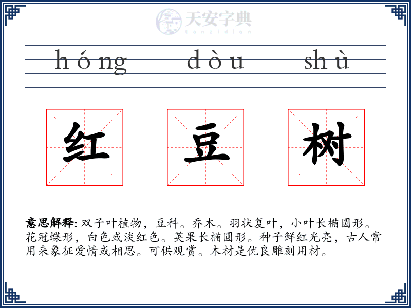 红豆树