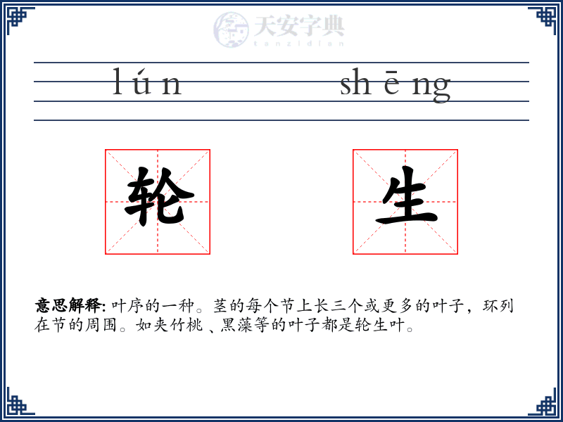 轮生