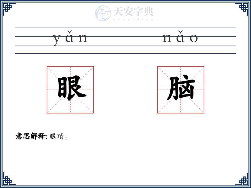 眼脑