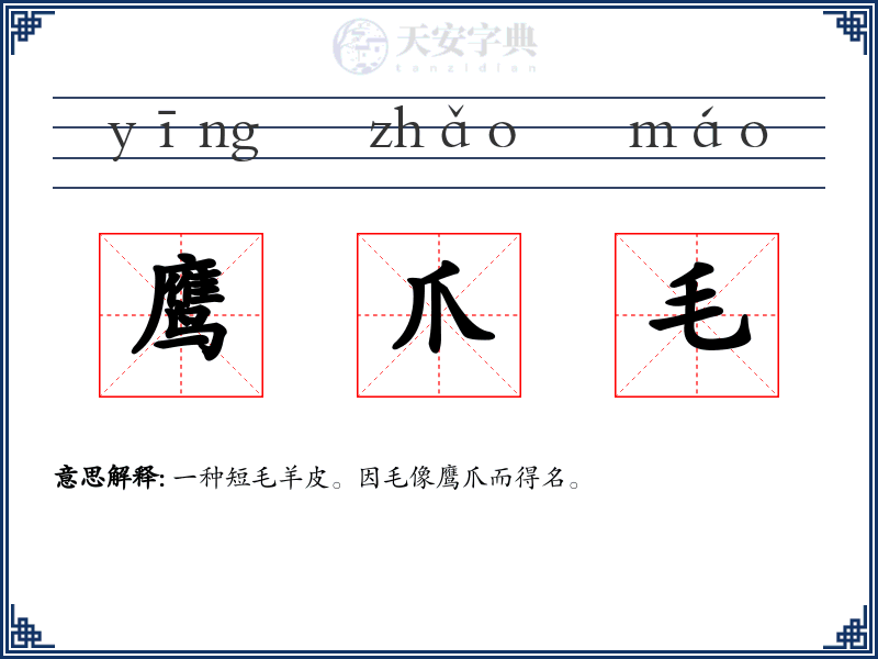 鹰爪毛