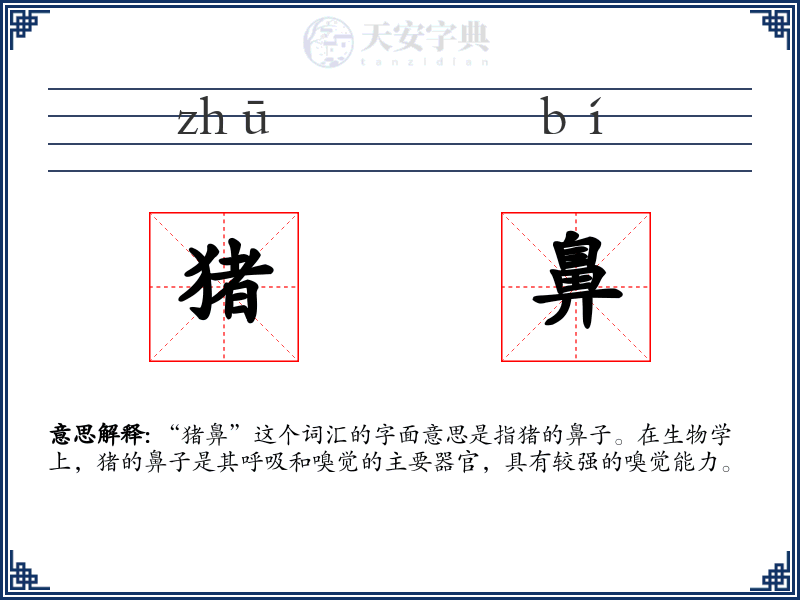 猪鼻