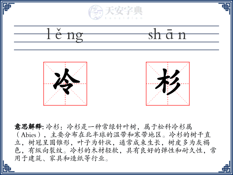 冷杉