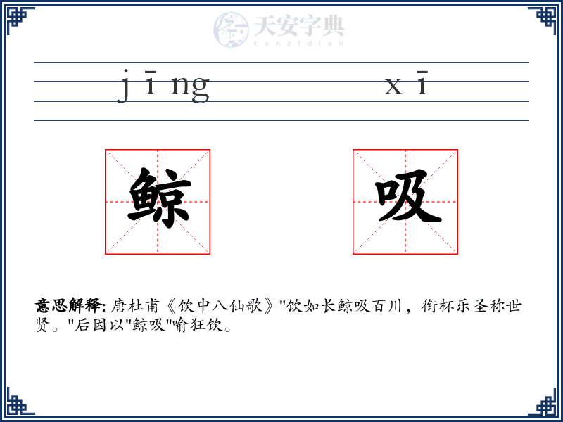 鲸吸