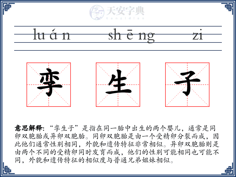 孪生子