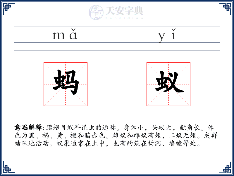 蚂蚁