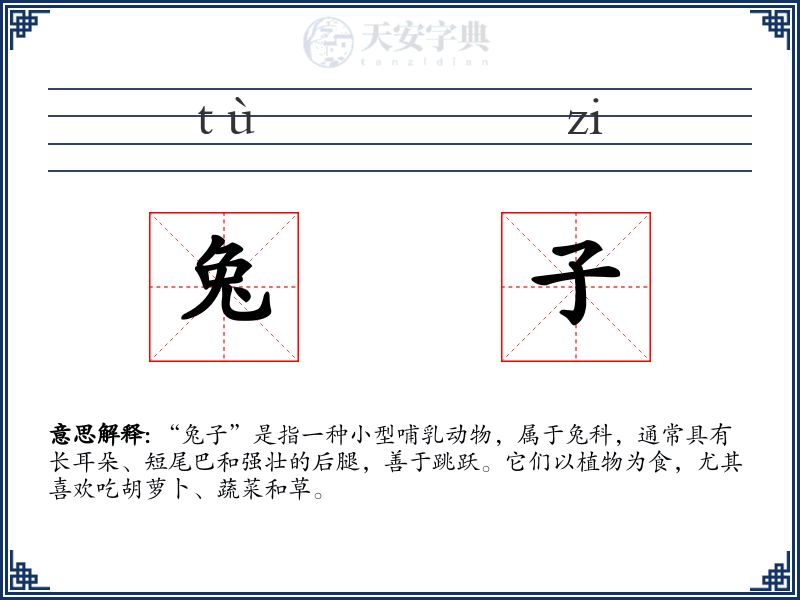 兔子