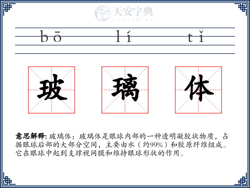 玻璃体