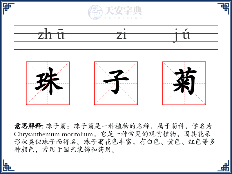 珠子菊