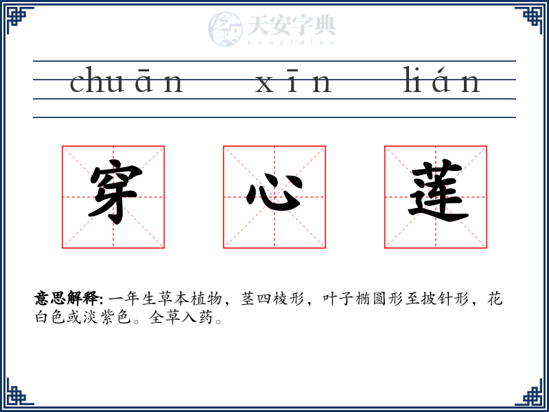穿心莲