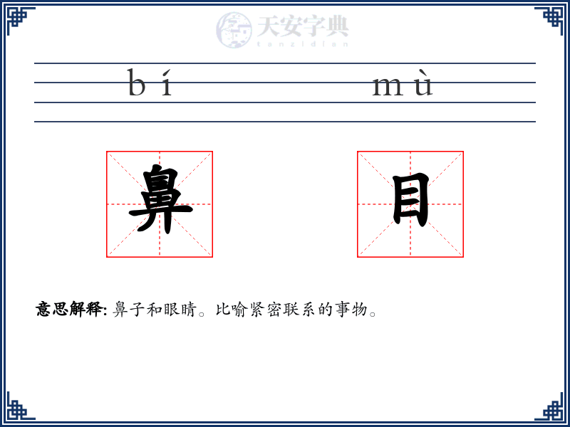 鼻目