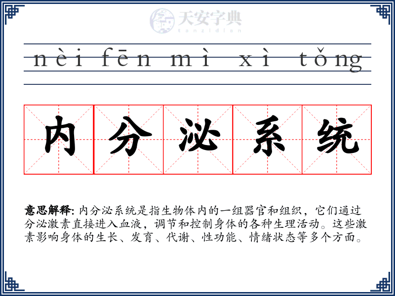 内分泌系统