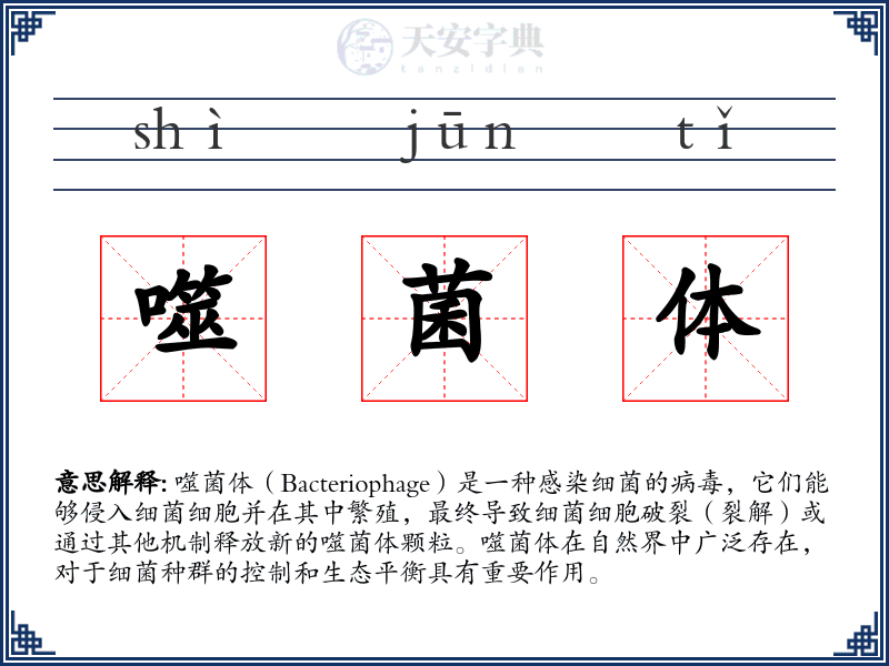 噬菌体