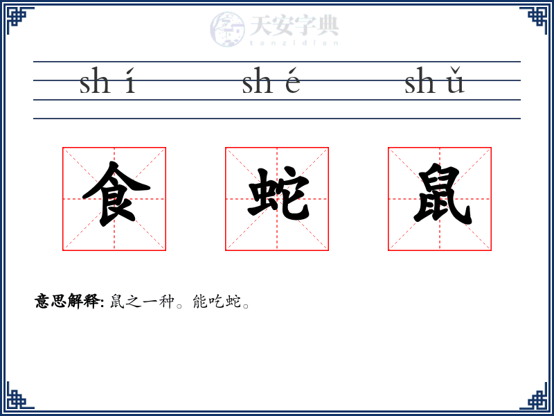 食蛇鼠