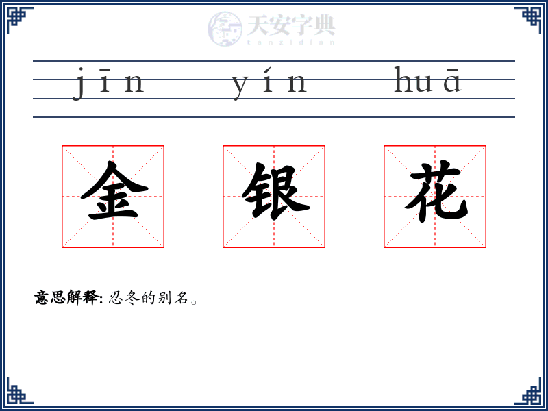 金银花