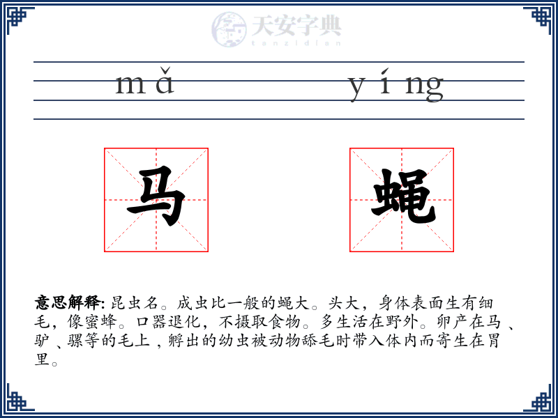马蝇